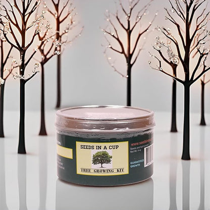 Hazelnut Tree | Seed Starter Grow Kit | Seeds In A Cup®