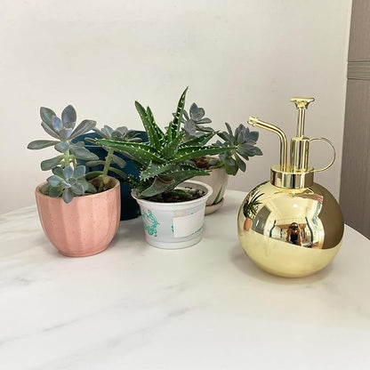 Plant Misting Bottle Stainless Steel Plant Sprayer, Small Watering Can Plant Misting Bottle Modern Gardening Tools for Indoor Potted Plants Watering and Misting