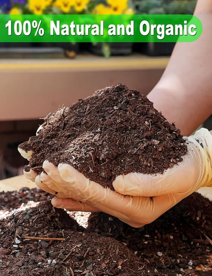 TOYPOPOR Succulent Soil, Cactus Potting Mix 1.25 Pounds/1 Quart, High Drainage, Pre-Mixed Ready to Use for All Succulent Varieties, Indoor Plants, Bonsai, Terrarium, Houseplant, 30% Particles 70% Soil