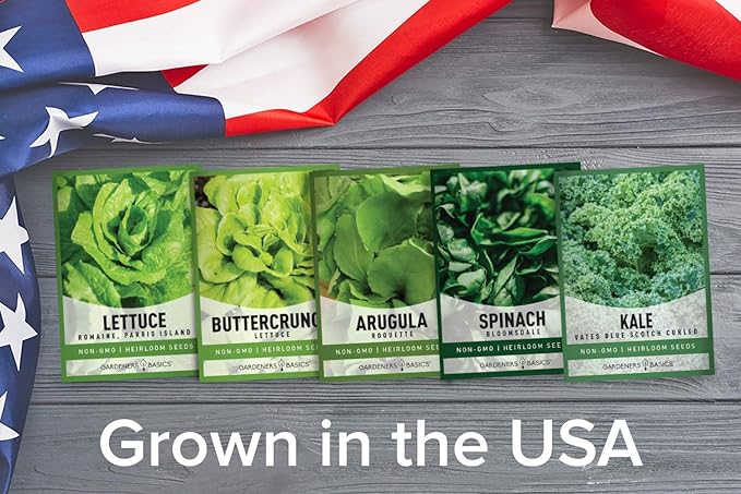 Gardeners Basics Lettuce and Greens Heirloom Vegetable Seed Non-GMO Seeds for Planting Indoors and Outdoor - Lettuce Buttercrunch, Romaine, Arugula, Kale and Spinach, Pack of 5