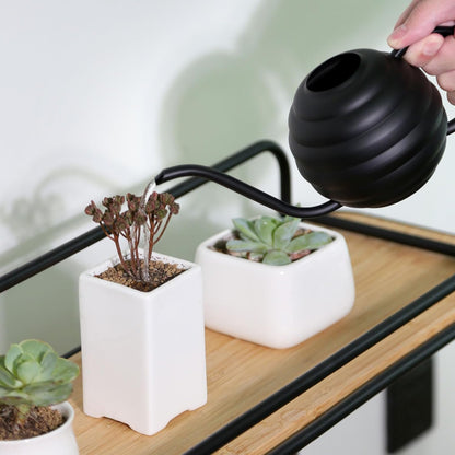 Plant Watering Bottle, 400ml/14oz, Retro Style Watering Can, Frosted (Black)