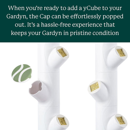 Gardyn Caps for Your Gardyn Hydroponics Growing System & Indoor Garden - Perfect Solution for a Cleaner & More Beautiful Garden - Must-Have for Growing Fewer Than 30 Plants - 5 Pack, Red Amaranth