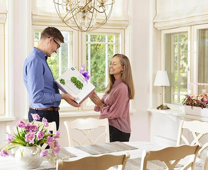 Click & Grow Indoor Herb Garden Kit with Grow Light | Smart Garden for Home Kitchen Windowsill | Easier Than Hydroponics Growing System | Vegetable Gardening Starter (3 Basil Pods Included), Grey