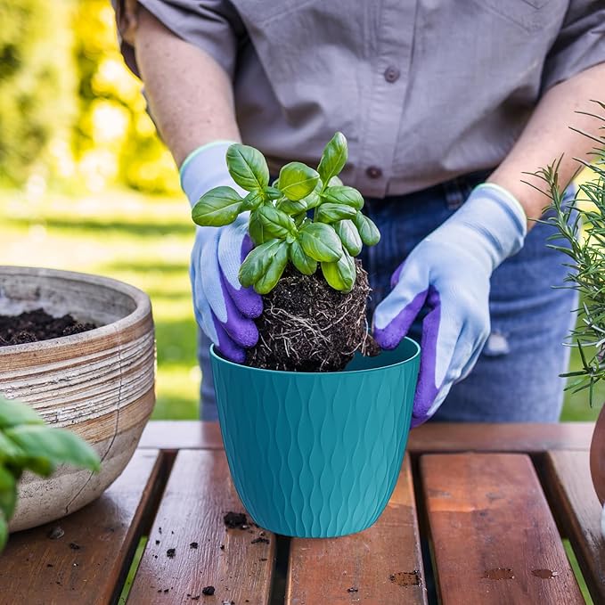 6 inch Plant Pots, 5 Pack Flower Pots with Drainage Holes and Saucers for Indoor Plants, Plastic Planters with Water Ripple for Small Garden House Plants, Nursery Pots for Succulent, Blue Green