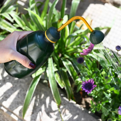 2Pack Watering Can for Seedlings, Small Watering Can for House Plant Garden Flower 15oz/450ml(Green)