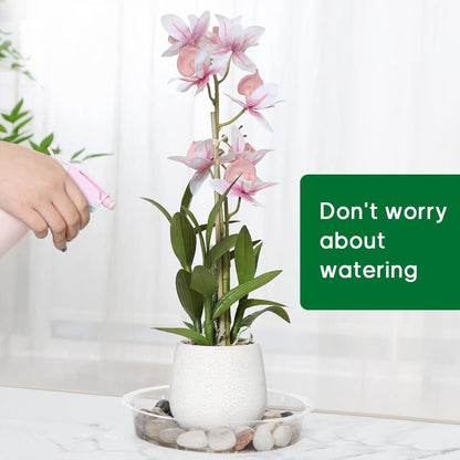 JERIA 6 Inch 20 Pack Clear Plant Saucers,Plastic Flower Pot Trays,Round Durable Plant Drip Trays for Indoor and Outdoor