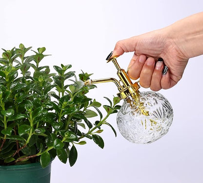 Glass Plant Mister Spray Bottle, 6.5" Clear Glass Water Spray Bottle with Gold Top Pump Small Watering Can, Small Plant Sprayer Mister for Indoor Outdoor House(Clear+Gold E)