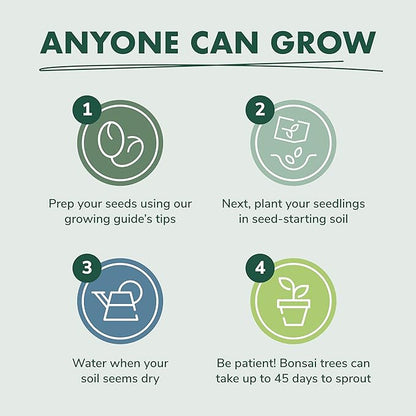 Garden Republic Bonsai Tree Kit - Mini Bonsai Seeds, 4 Types - Seed Starter Plant Growing Kit - Potting Soil Jute Bags Pruning Shears Scissor Tool Plant Markers - Gardening Gifts