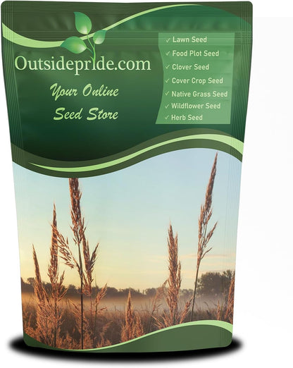 Outsidepride Perennial Andropogon Big Bluestem Grass Seed - 5 lbs. Warm Season, Drought Resistant, Native Prairie Grass Seed, Ideal for Erosion Control, Ornamental Landscaping & Wildlife Gardens
