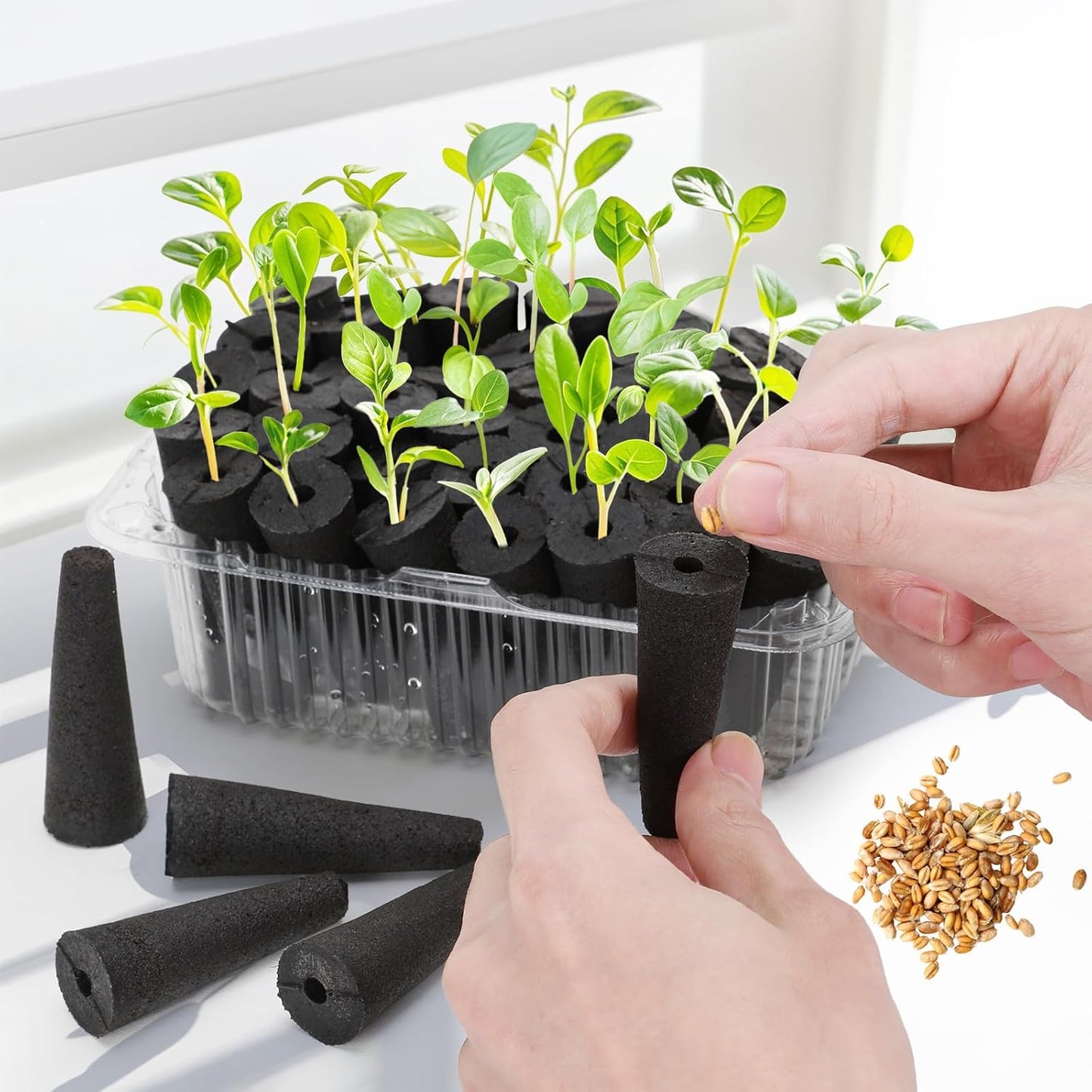 50 pcs Grow Sponges for Hydroponics Compatible with AeroGarden, Hydroponics Growing System Pods, General Hydroponics Rapid Rooter, Starter Plug for Seeds or Cuttings