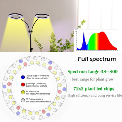 yadoker Desk Plant Grow Light for Indoor Plant, Dual-Head LED Grow Light,Height Adjustable,Automatic Timer with 8/12/16 Hours,10-Level Brightness,Ideal for Large Plant Grow