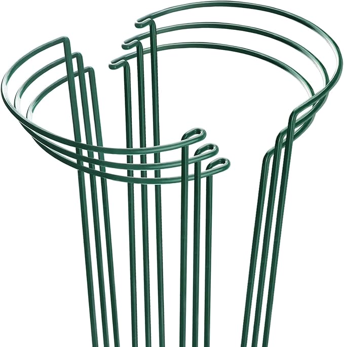 HiGift Plant Support Stakes, 6 Pack Metal Peony Cages and Supports, Garden Stakes Plant Support Cage, Large Plant Support Ring for Outdoor Indoor Snake Plant Peony Rose Flowers Vine (10" W x 15.8" H)