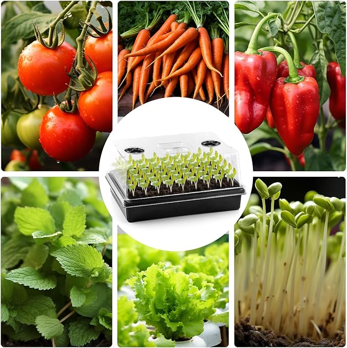 12-Pack Seed Starter Trays with 5'' Tall Humidity Domes – Thick Plastic, Reusable Seedling Tray with Clear Lids for Strong Plant Germination, Ideal Microgreen Growing Trays for Faster Seed Propagation