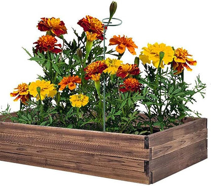 Plant Stake Support - 6 Pack, Garden Single Stem Support Stake Plant Cage Support Rings, Single Stem Plant Support Stakes, Plant Twist Ties, for Flowers Amaryllis Tomatoes Peony Lily Rose (15.9 inch)