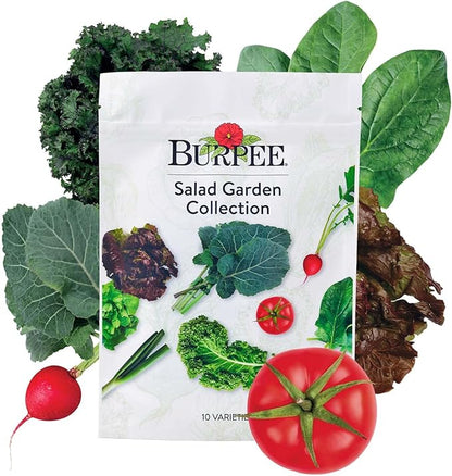 Burpee Salad Garden Collection 10 Packets of Non-GMO 4 Lettuce Varieties Tomato, Radish, Spinach, Kale, Scallions & Mesclun Mix | Seeds for Planting Vegetables