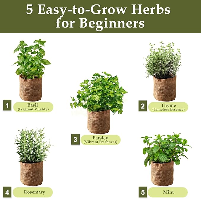 5 Herb Garden Planter Indoor with Wooden Box, Home Kitchen Seed Starter Kit Including Basil, Thyme, Parsley, Rosemary, Mint, Birthday, Mothers Day, House Warming, Gardening Gifts for Women, Mom