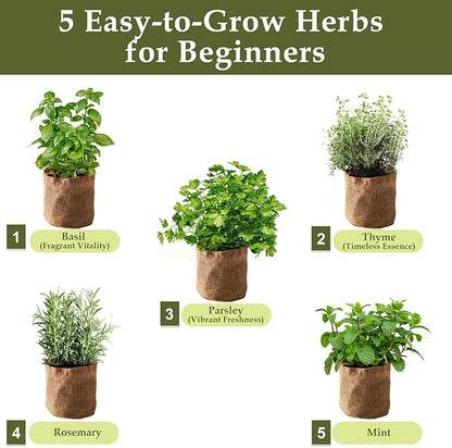 5 Herb Garden Planter Indoor with Wooden Box, Home Kitchen Seed Starter Kit Including Basil, Thyme, Parsley, Rosemary, Mint, Birthday, Mothers Day, House Warming, Gardening Gifts for Women, Mom