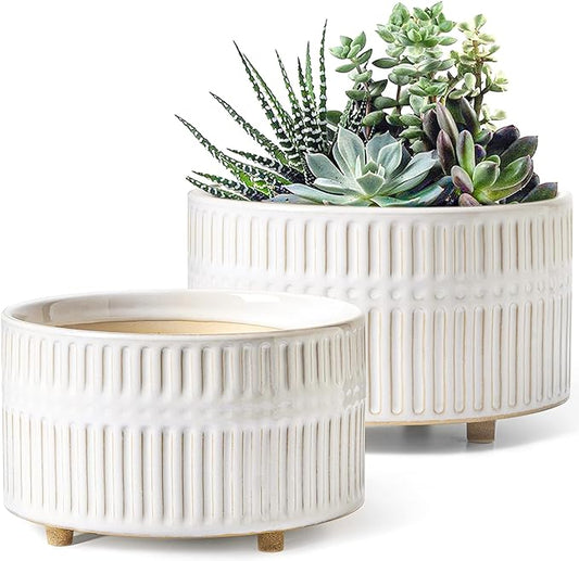 LE TAUCI Succulent Planters, 6.5+8 Inch Ceramic Indoor Plant Pot with Drainage Hole, Shallow Round Succulent Pots, Set of 2, Reactive Glaze White