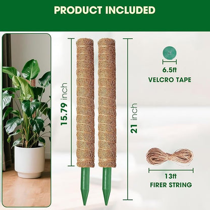 Moss Pole, 2 Pack 21 Inch Monstera Plant Support for Climbing Plants, 36 Inch Tall Stackable Plant Stakes for Indoor Plants Coco Coir Moss Pole Sticks Support for Potted Pothos, Philodendron