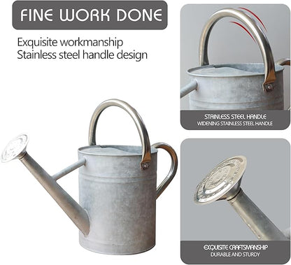 Metal Watering Can for Outdoor and Indoor Plants, Watering Can Decor, 1 Gallon (Zinc Stainless Steel Handle)