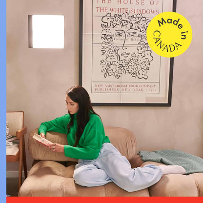 Northern Light Technologies LiteUp - 10000 Lux Light Therapy Lamp - Full Spectrum Lightbox Therapy Light for Natural Mood and Energy Enhancement, Wall Mountable Sunlight lamp, Black