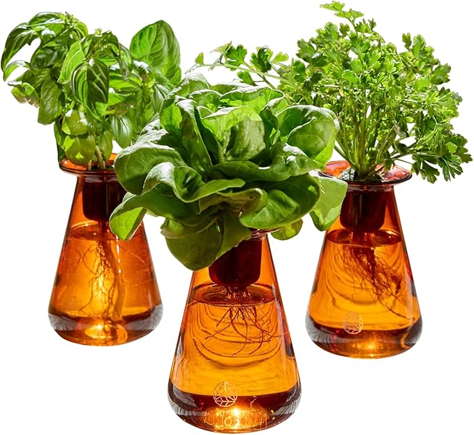 Counterstand Set – Vase Plant for Indoor Edible Garden Kit for Herbs & Lettuce – Small-Space Hydroponic System – Home Decor & Gifting – No Glow Lamp