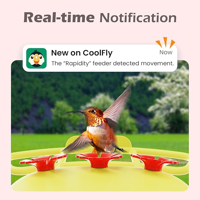 Smart Hummingbird Feeder with Camera Solar Powered, AI Identify, Instant Notification, Leakproof & Ant Moat, Outdoors Hanging, Idea Gift for Bird Lovers (20 oz)