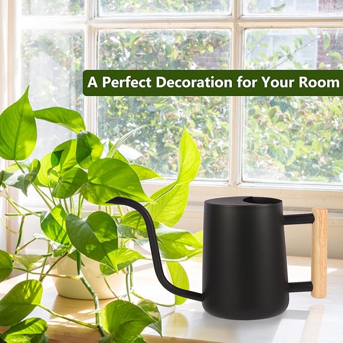 Plant Watering Can,35oz Metal Watering Can,Stainless Steel Indoor Plants with Long Curved Spout,Small Bonsai Outdoor Garden Modern Decorative(Black)