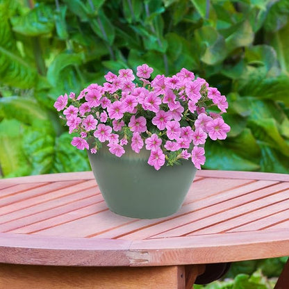 Sunnydaze Large Ceramic Plant Pot - Round Outdoor Glazed Ceramic Planter Pot with Drainage - Chalet - Seafoam - 14.5"