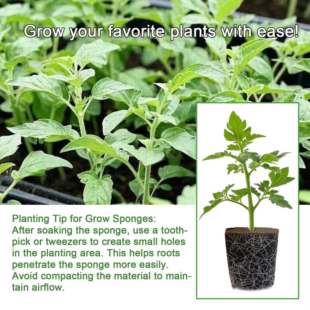 50 Packs Cuttage Grow Sponges, Pods Root Growth Sponge Eco Friendly PH Balance, Square Sponge Replacement Part Seedling Starter Sponges for Hydroponic Indoor Garden System Cuttage Rooting