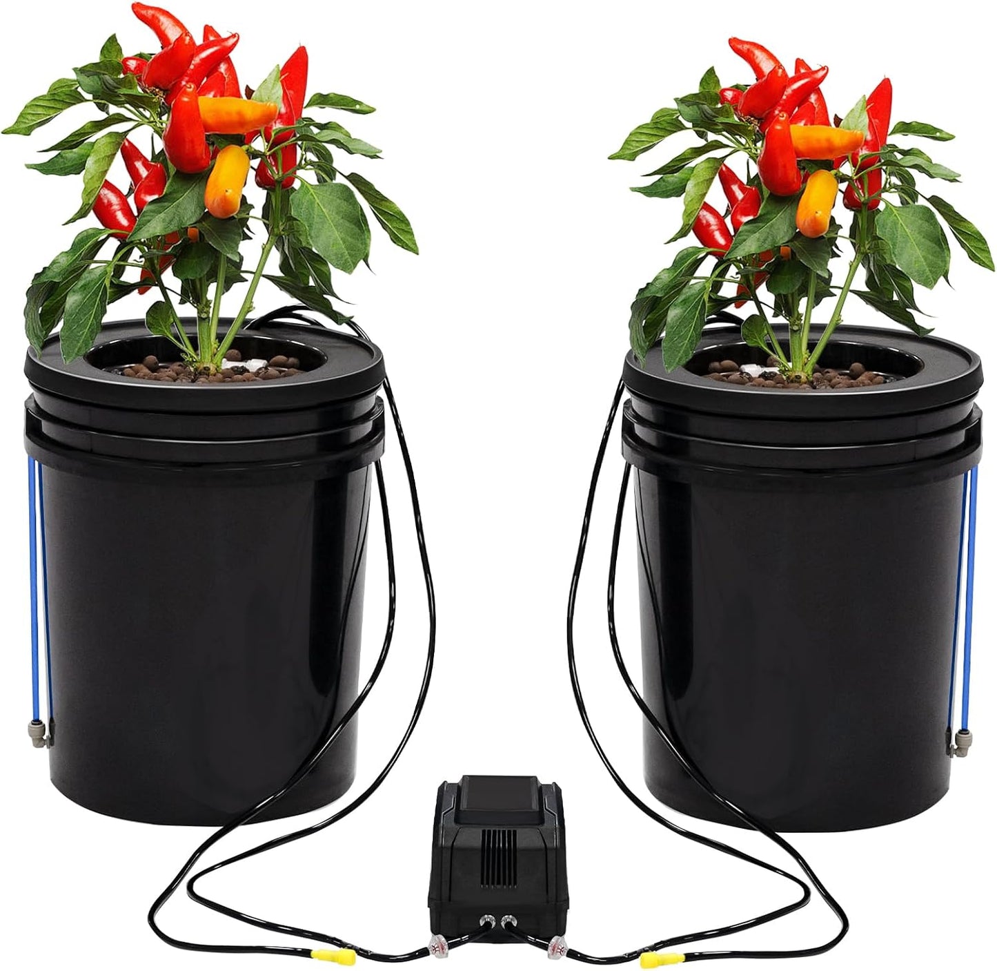 Hydroponics Growing System Kit with Top Drip 5 Gallon 2-Bucket Recirculating DWC Hydroponic System Kit Not Easy to Leak for Growing Plants Indoors and Outdoors (2-Bucket+Top Drip)