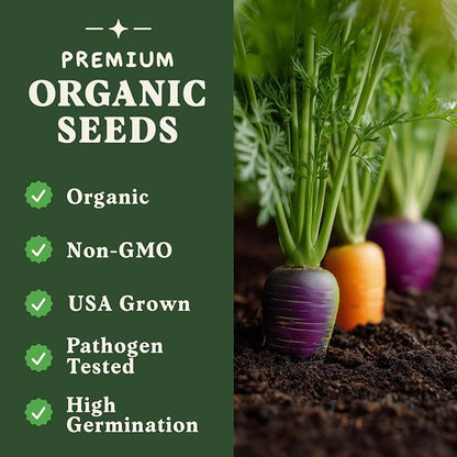 Seedboy Organic Rainbow Carrot Seeds for Planting Indoor and Outdoor, Non-GMO and USDA Certified Vegetable Seed Packet for Hydroponic Garden Indoor or Planting Outdoors (Rainbow Carrots)