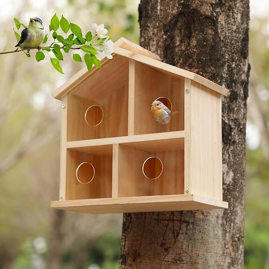 Window Bird Houses for Outside, See Through Upgraded Wooden Birdhouse Outdoors, Bird Nest Transparent Design for Easy Observation, Best Gift for Kids