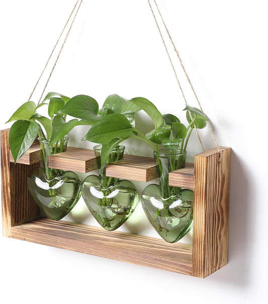Plant Terrarium Propagation Stations Hydroponics Home Garden Decoration Gift for Women with Wooden Stand Heart Shaped Colored Glass Vase