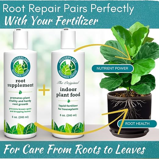 Root Rot Repair for Houseplants – Recovery Drops Root Supplement for Overwatering or Shock | Heals Roots, Prevents Brown Spots & Dropping Leaves (8 oz)
