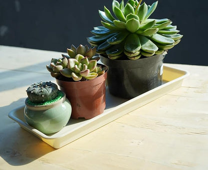 2 Pack Plastic Plant Tray Saucer - Rectangular, 16 inch, Indoor/Outdoor, Drip Tray for Flower Pot, Windowsill (7.0 x 16.1'', Beige)