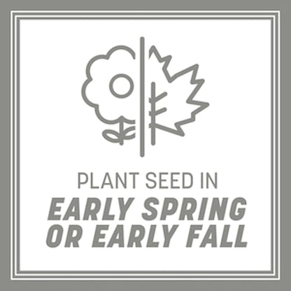 Pennington Contractors Grass Seed Mix Northern Mix 40 lb