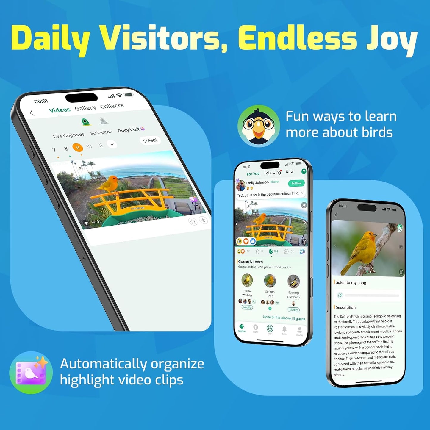 HIXX Smart Hummingbird Feeder with Camera Solar Powered with CoolBirdie Collectible, Ant Moat& Bee Proof, Easy Clean, Includes Limited Edition Plush Bird Toy, for Hummingbird Lover&Family