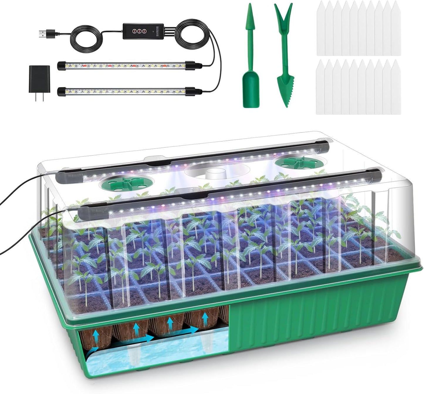 GOOINMILL Self-Watering Seed Starter Tray with Timed Grow Light, 80 Cells Plant Starter Tray Seedling Starter Kit with Humidity Domes Base Indoor Mini Greenhouse Plant Germination Trays