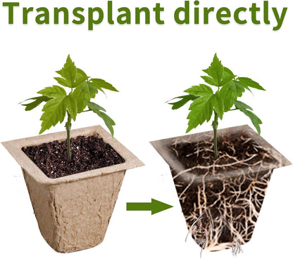 SYITCUN 200 Cells Seed Starter Tray, 20 Pack Biodegradable Seed Starter Kit, Peat Pots for Seedlings with 200 Plant Labels, 2 Seed Planting Tool and 1 Spray Bottle