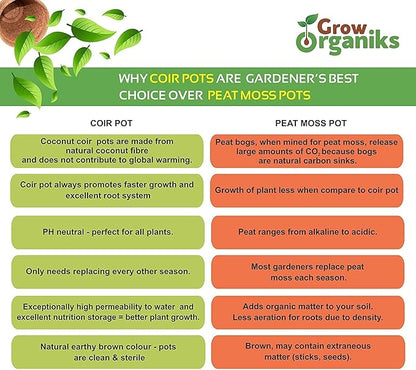 (4 Inch, 12 Pack Coco Coir Plant Pots, Biodegradable Peat Pots for Seed Starter & Seedling Kit, Small Plant Pots Germination, Mini Planter Cups for Indoor, Outdoor, Organic Planting