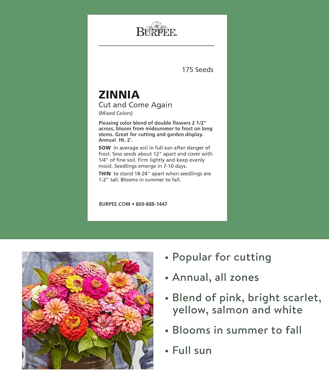 Burpee Cut & Come Again Zinnia Seeds 175 seeds