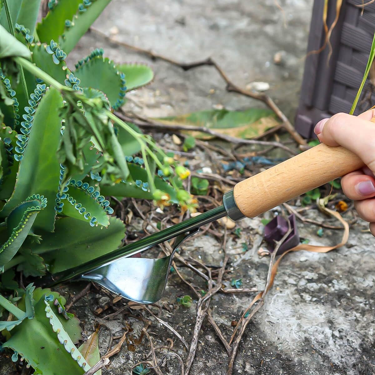 3 Pack Stainless Steel Weeder Puller Tool,Patio Crack Weeder for Cracks,Pavers,Driveways,Moss Removal,Crevice Weeding Digger Tool,Uprooting Weeding Tool for Planting,Weeding