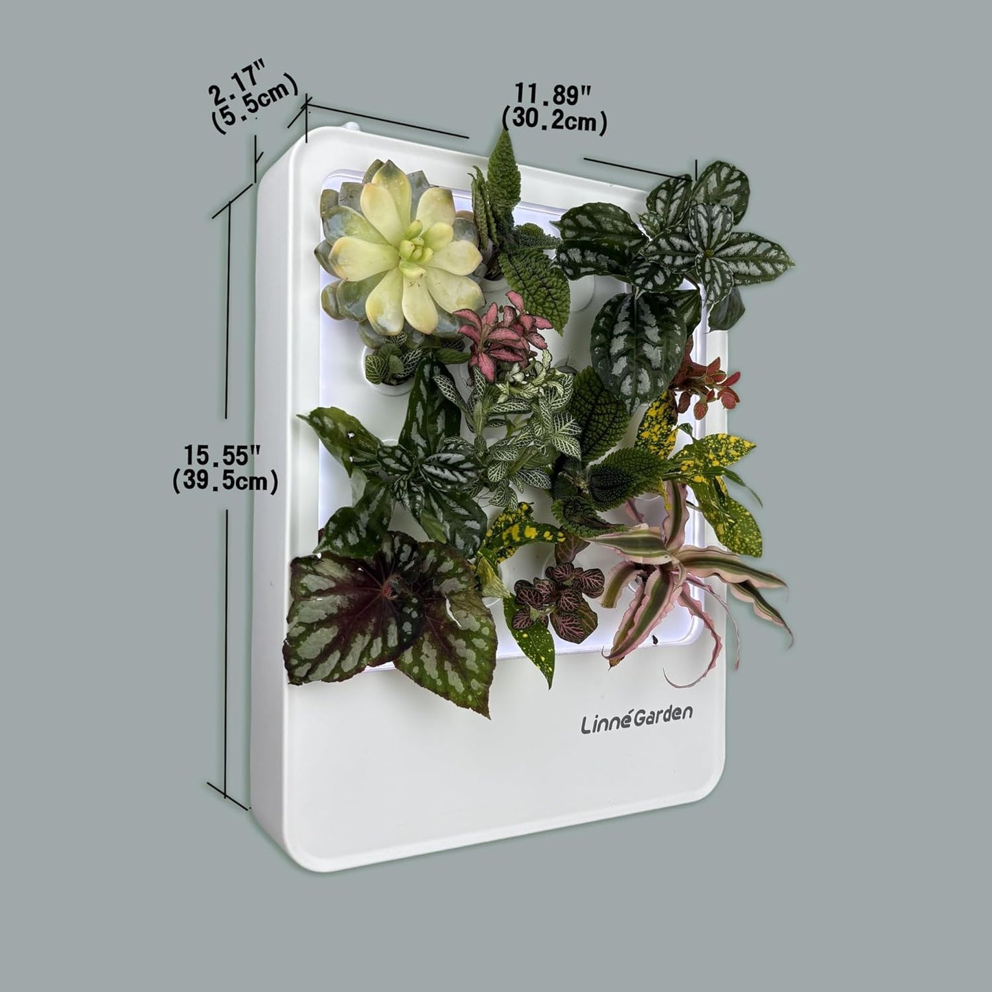 Indoor Garden Hydroponic System with LED Grow Light Indoor herb Garden, Indoor Garden Hydroponic System with LED Grow Light (Gery)