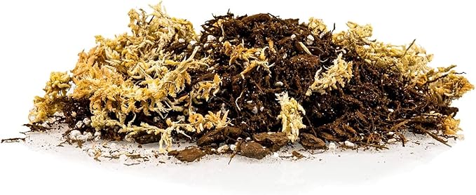 Gardenera Premium Orchid Mix by GARDENERA | Fern + New Zealand Pine Bark + Sphagnum Moss + Perlite | Best for Growing and Repotting Orchids - 2 Quart Bag