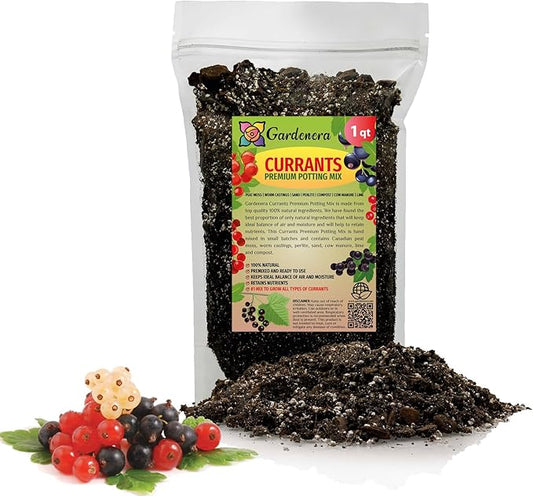 Gardenera Premium Currant Plant Potting Soil Mix - Optimal Nutrient-Rich Blend for Thriving and Juicy Currants - 1 Quart