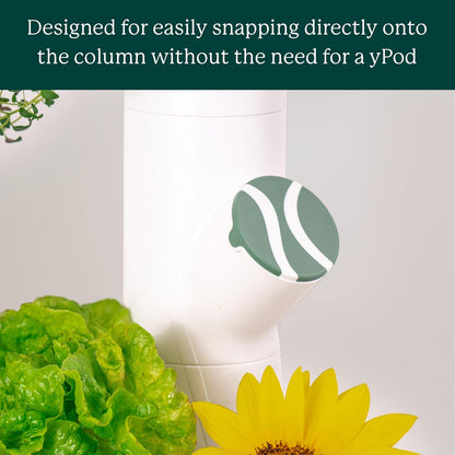 Gardyn Caps for Your Gardyn Hydroponics Growing System & Indoor Garden - Perfect Solution for a Cleaner & More Beautiful Garden - Must-Have for Growing Fewer Than 30 Plants - 5 Pack, Red Amaranth