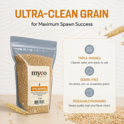 Rye Berries for Mushroom Spawn - Organic, Triple Washed Rye Grain to make Mushroom Grainspawn by Mycology Basics - 5 lbs