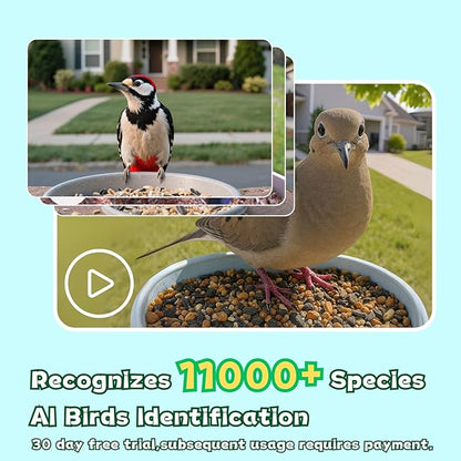 Smart Bird Feeder with Camera, 2.4GHz WiFi Watching Camera Bird Feeders for Outdoors Solar Powered, AI Identify 11,000 Birds Species, Instant Arrival Alerts, Auto Capture 2K HD Live Videos