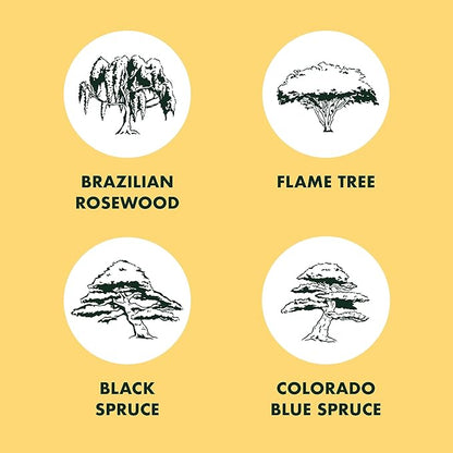 Garden Republic Bonsai Tree Kit - Mini Bonsai Seeds, 4 Types - Seed Starter Plant Growing Kit - Potting Soil Jute Bags Pruning Shears Scissor Tool Plant Markers - Gardening Gifts